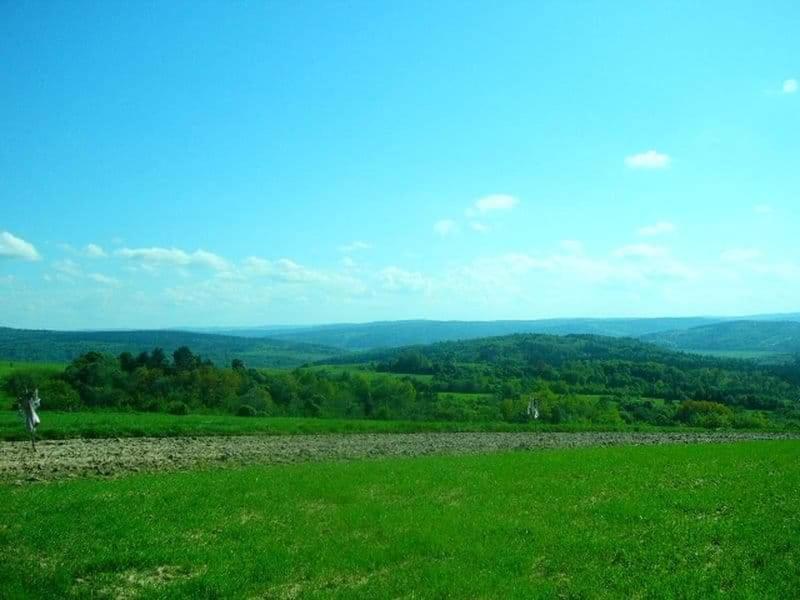 Agroturystyka U Julii Helusz Exterior foto